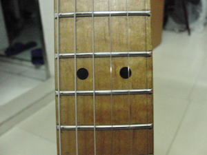 CIMG7055.JPG