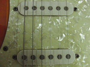 CIMG7061.JPG