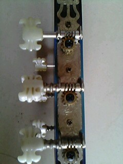 IMG0204A.jpg