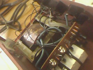 IMG1572A.jpg