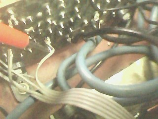 IMG1581A.jpg