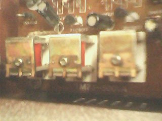 IMG1580A.jpg
