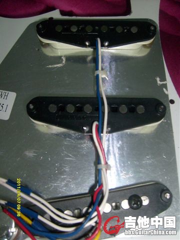 S6303092.JPG