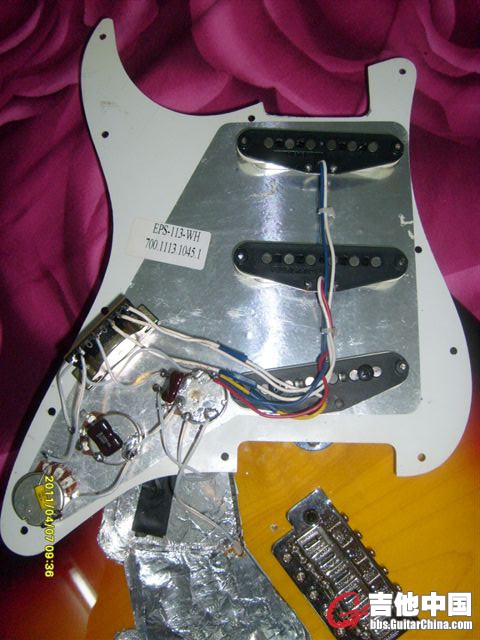 S6303091.JPG