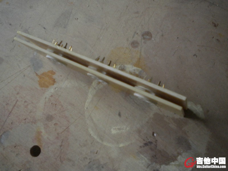 DSCN8066.jpg