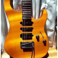4-032-032913-Washburn-MG600-FAN.jpg