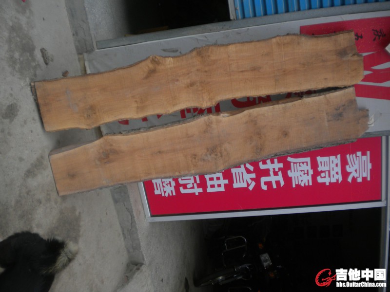 DSCN8324.jpg