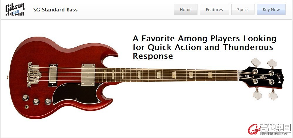 sg standard bass.jpg