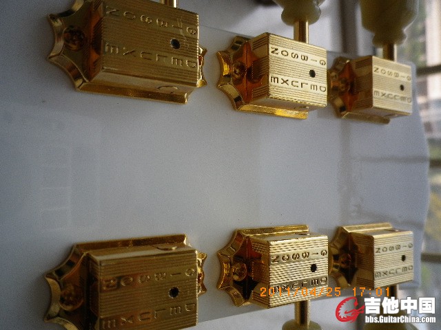 IMGP1308.JPG