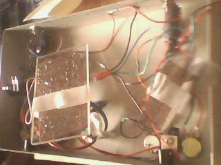 IMG1589A.jpg