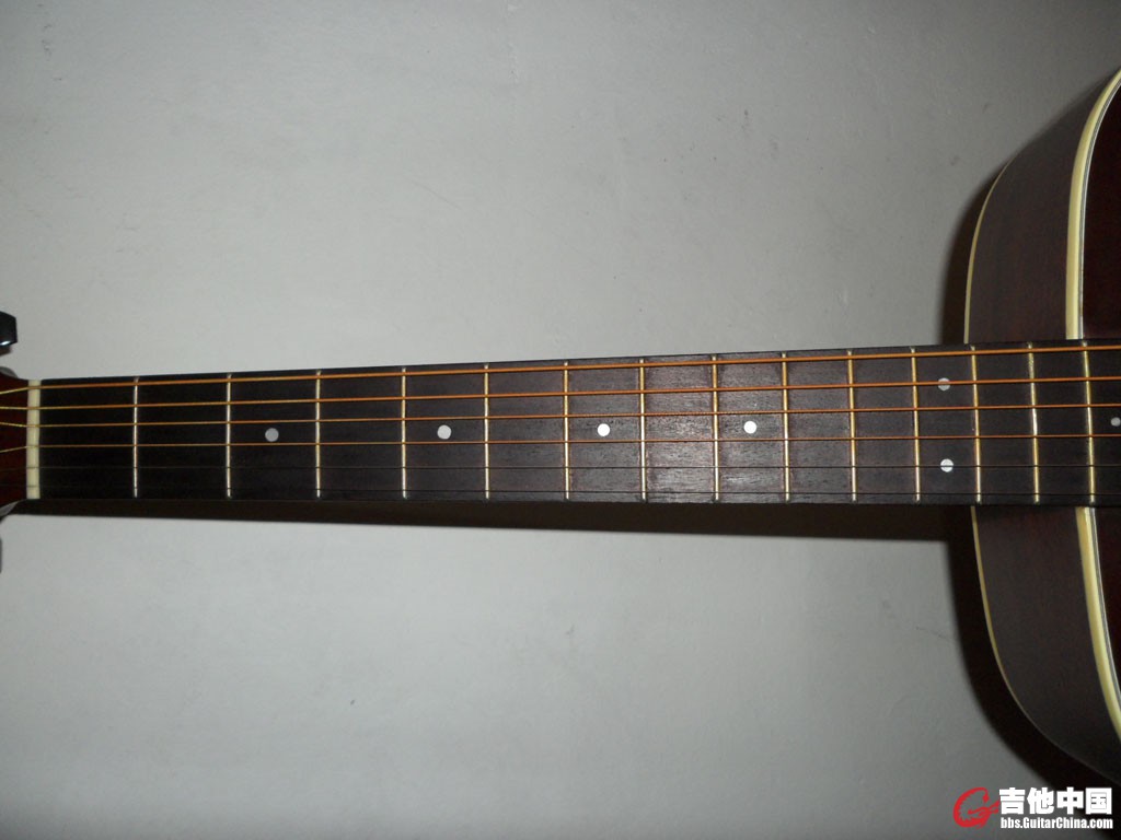 SAM_0238.JPG