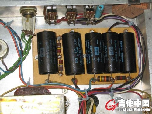 Dumble Winterland (Filter Caps).jpg