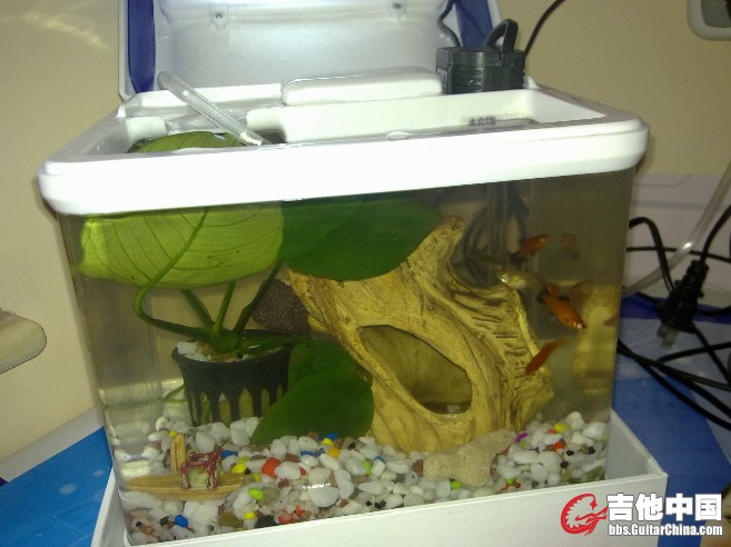 20110512098.jpg