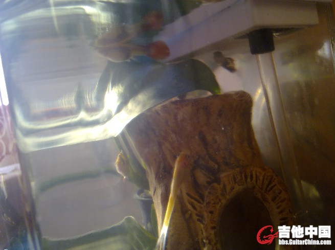 20110512101.jpg