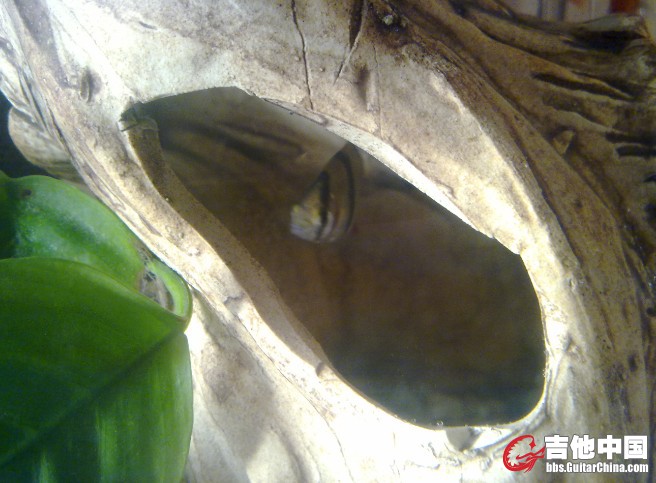 20110512099.jpg