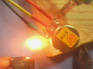 IMG1647A.jpg