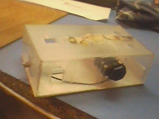 IMG1636A.jpg