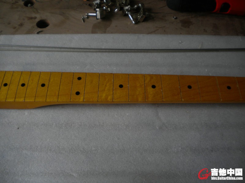 DSCN8697.JPG