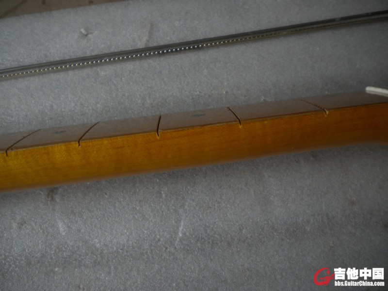 DSCN8699.JPG