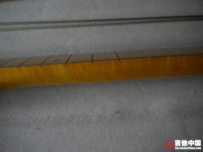 DSCN8698.JPG