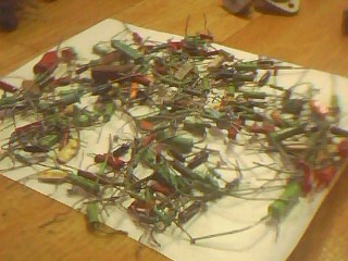 IMG1665A.jpg