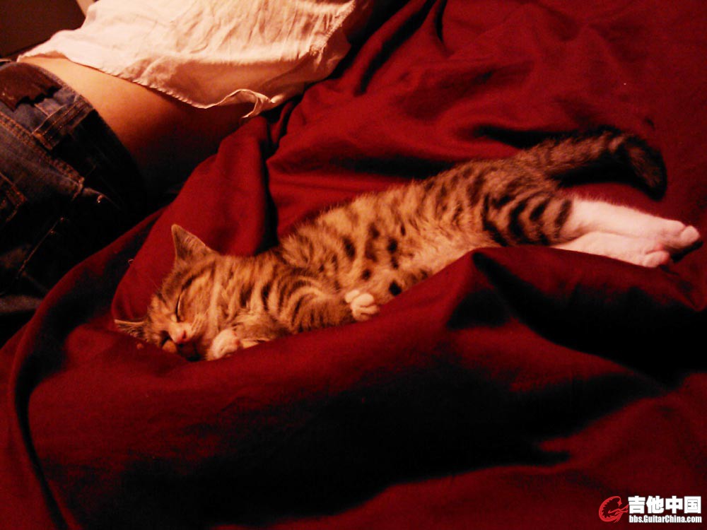 IMAG0034.jpg