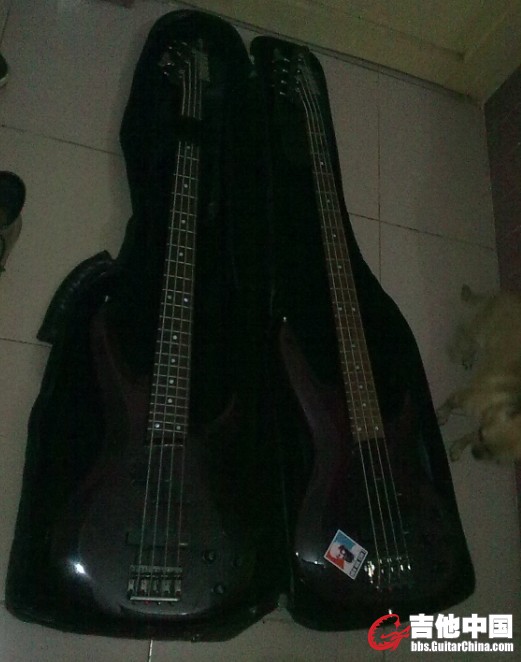 RBX1000 2.jpg
