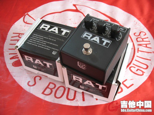 新rat.jpg