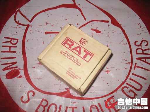 老rat.jpg