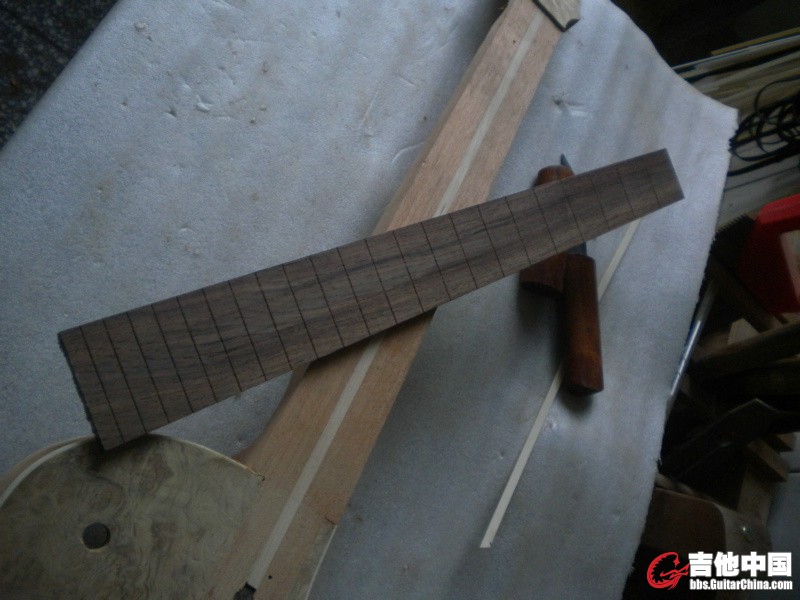 DSCN8559.JPG