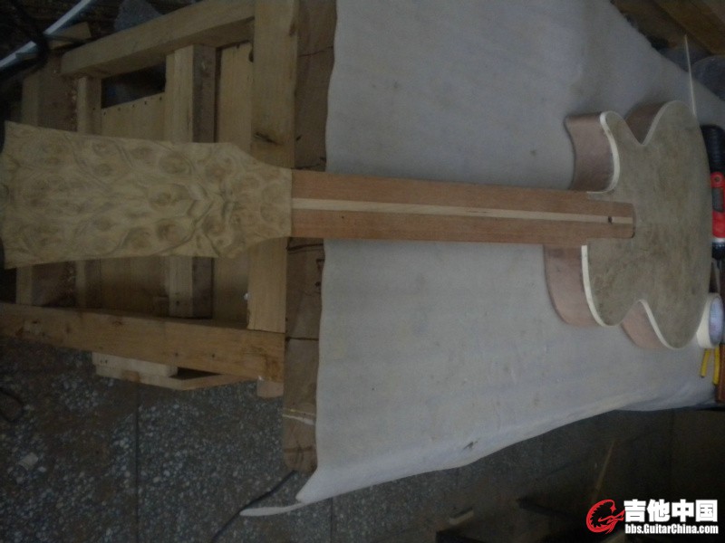 DSCN8534.JPG