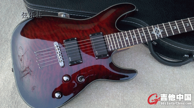 SCHECTER123.gif