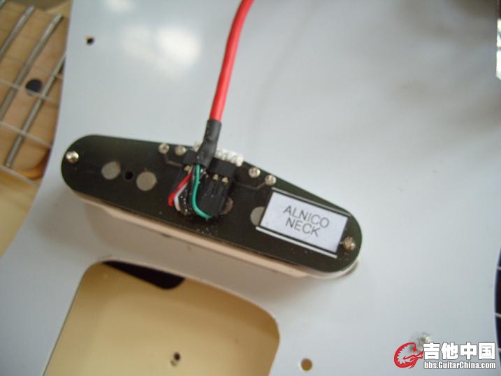 S1051337.JPG