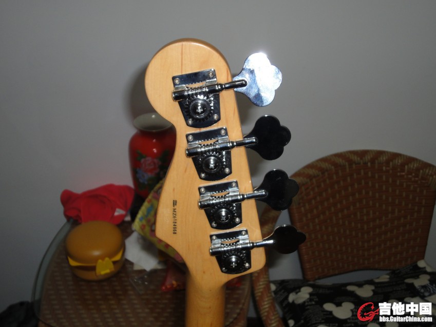 DSC00457_conew1.JPG