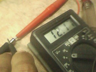 IMG1790A.jpg
