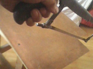 IMG1706A.jpg