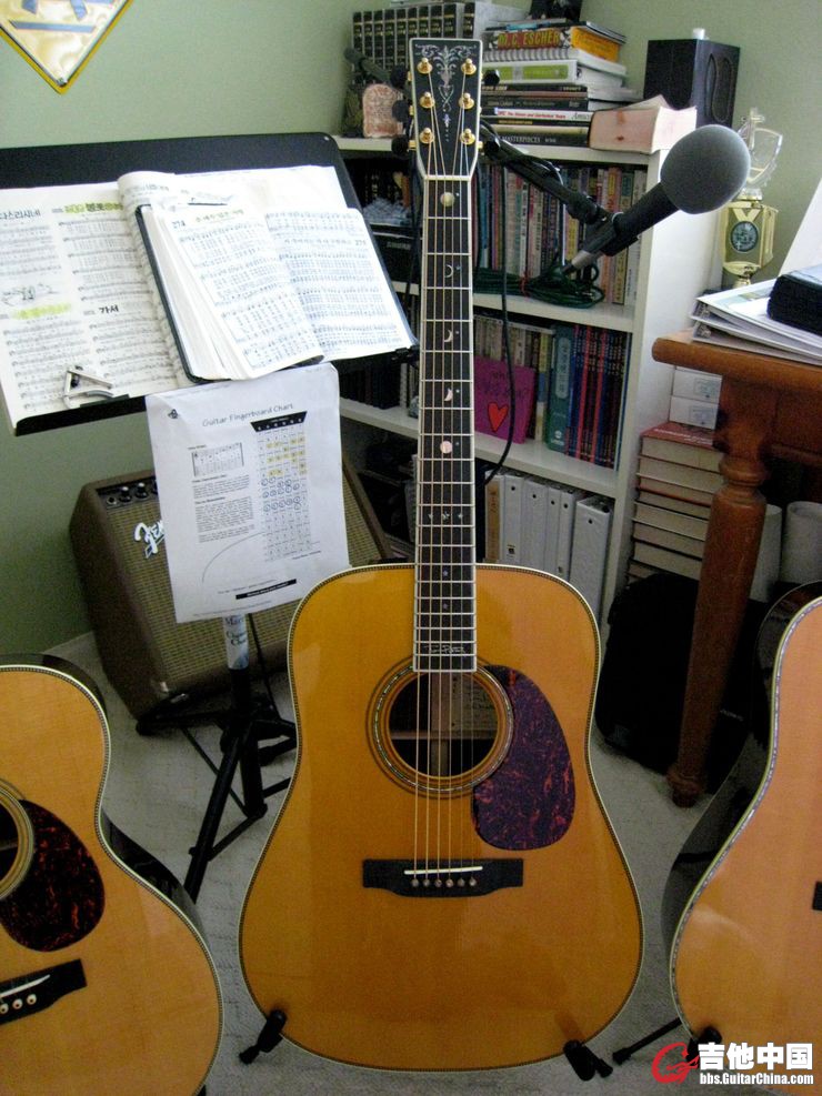 my_guitar_017_hooversup.jpg