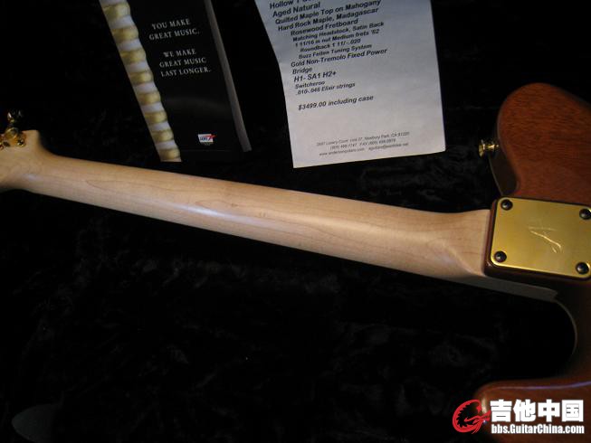 guitars.123 047.jpg