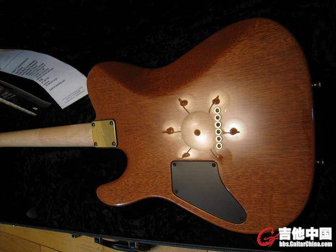 guitars.123 045.jpg