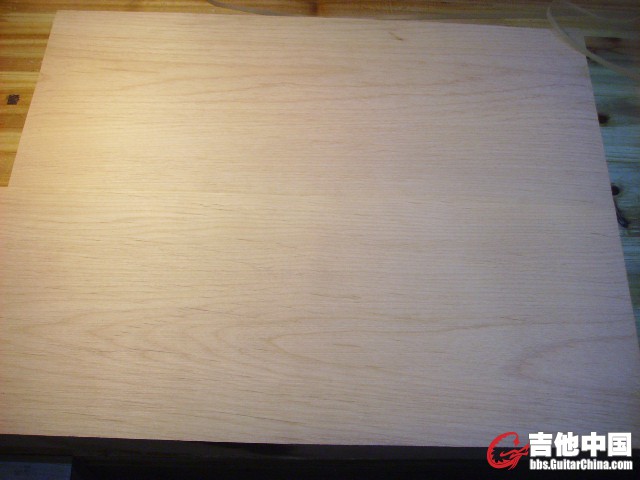 SSL20567.JPG