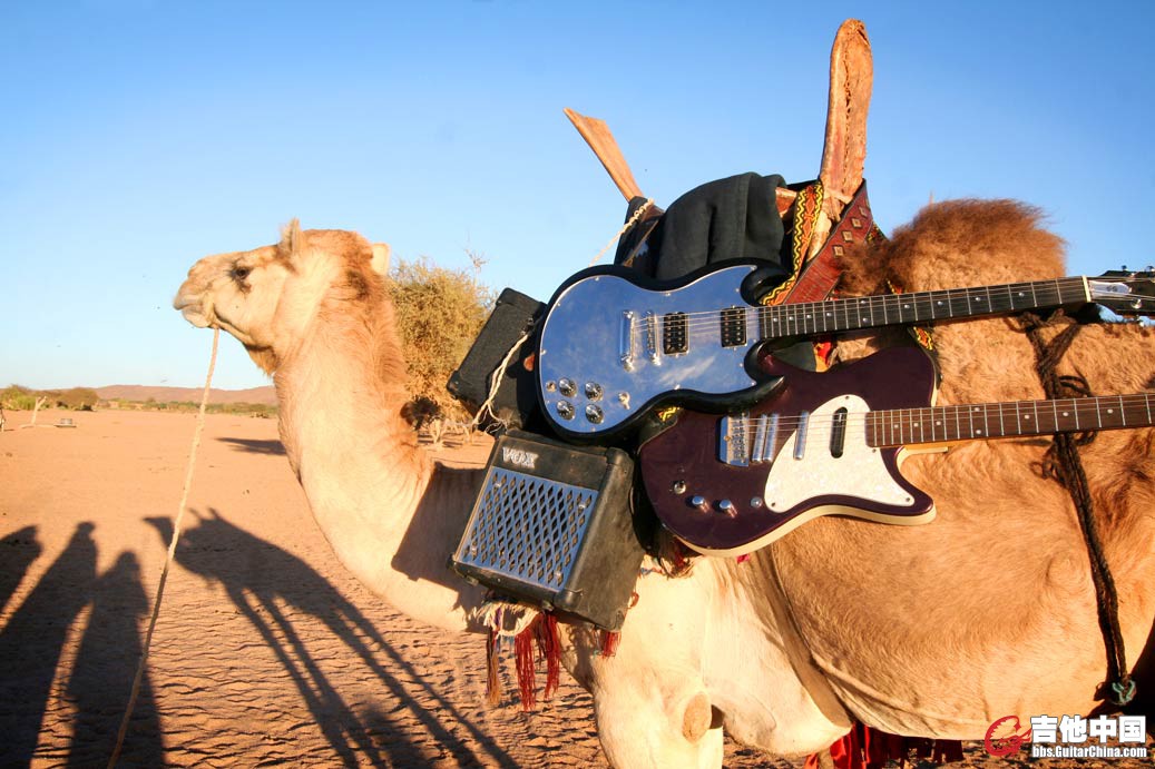 tinariwen-vox-02_lrg.jpg