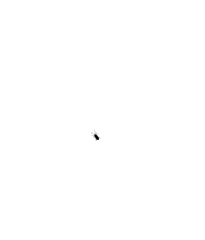 1285823153596.gif