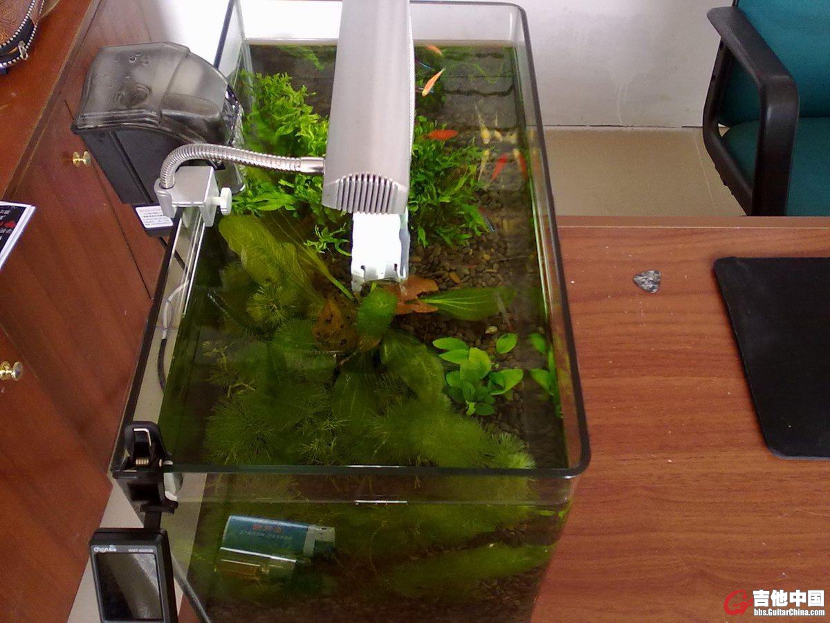 20110719477.jpg