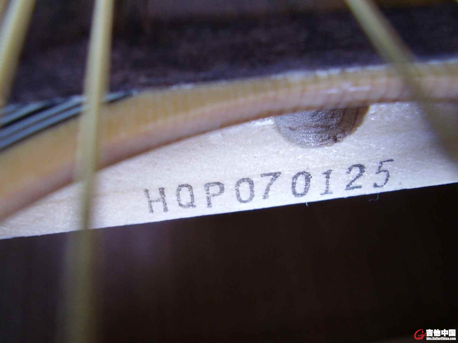 P8020078.JPG