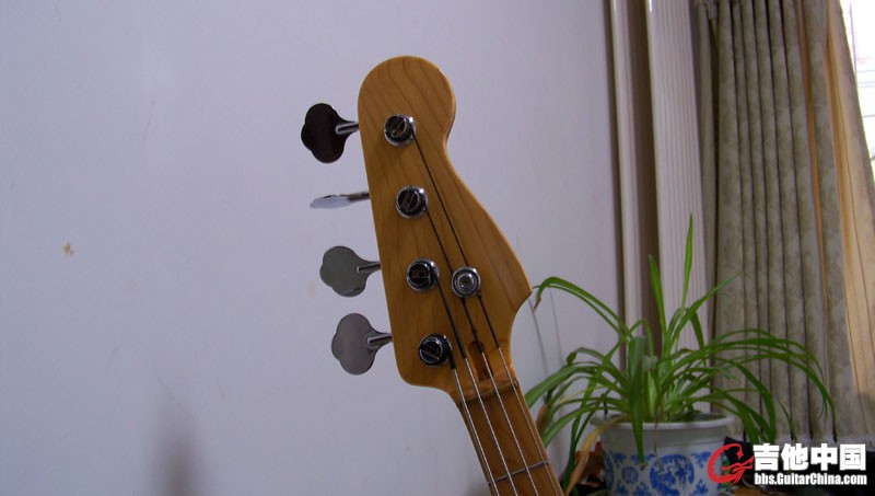 01.jpg
