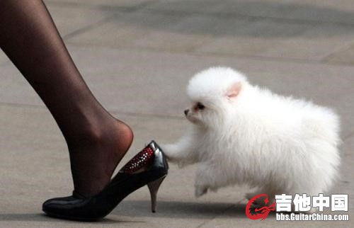 妹纸妹纸，表要走嘛。伦家是爱你的啦。