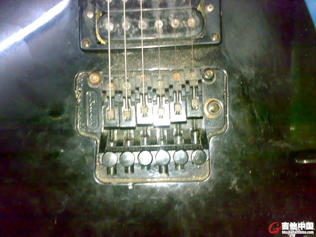 20110806225.jpg