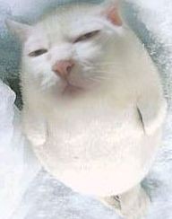 http_imgloadCAMCFK0M.jpg
