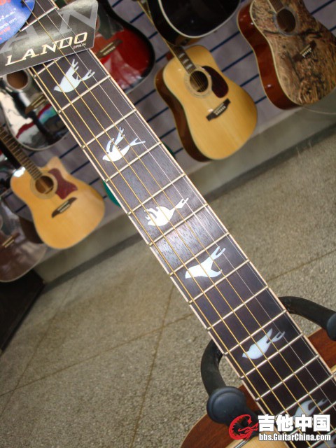 A09 (2).JPG