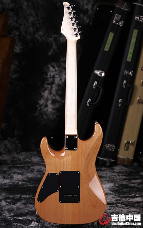 standard13451-05.jpg